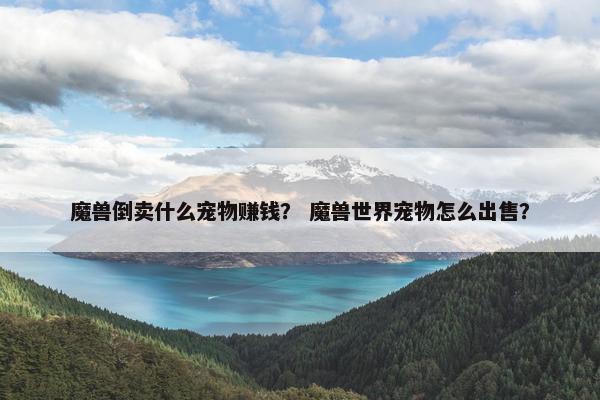魔兽倒卖什么宠物赚钱？ 魔兽世界宠物怎么出售？