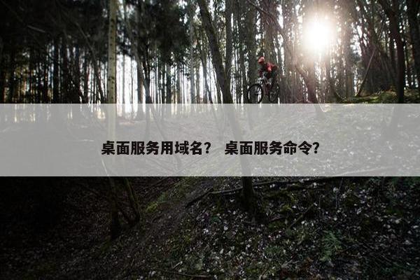 桌面服务用域名？ 桌面服务命令？