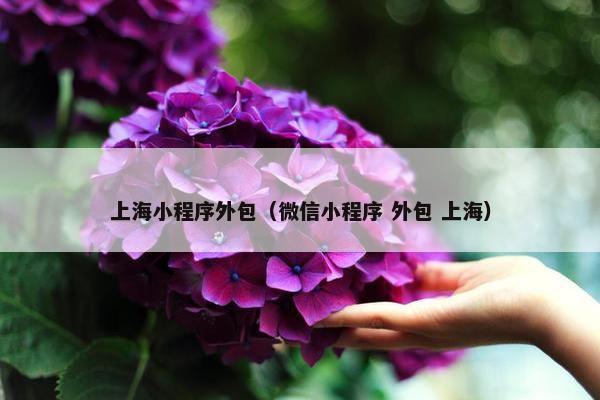上海小程序外包（微信小程序 外包 上海）