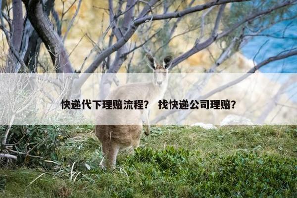 快递代下理赔流程？ 找快递公司理赔？