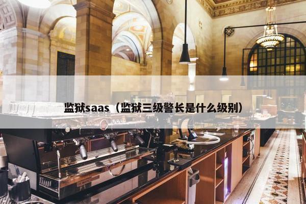 监狱saas（监狱三级警长是什么级别）