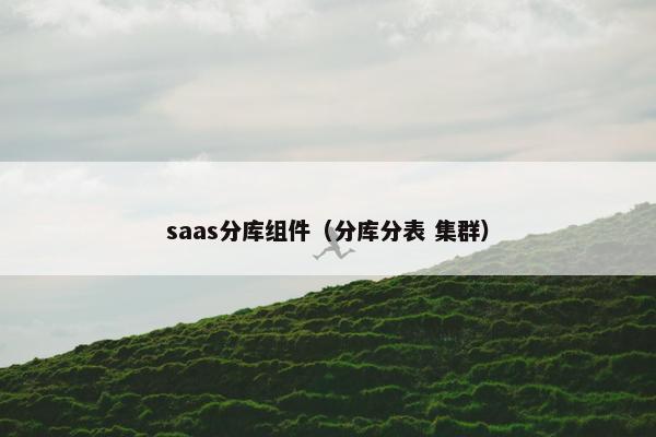saas分库组件（分库分表 集群）