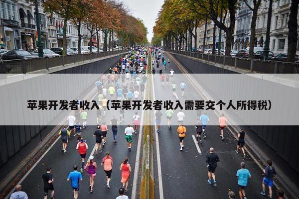 苹果开发者收入（苹果开发者收入需要交个人所得税）