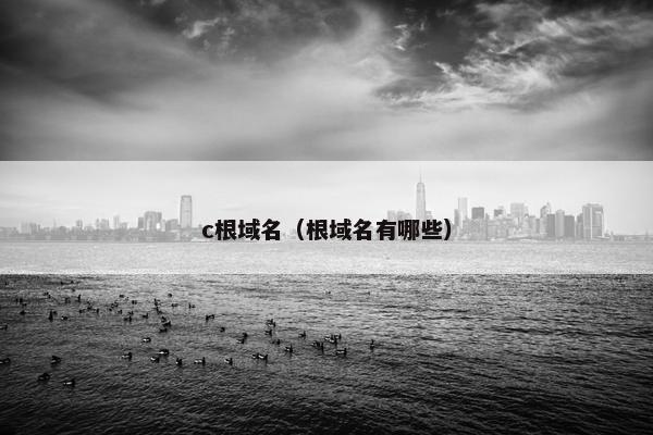 c根域名（根域名有哪些）