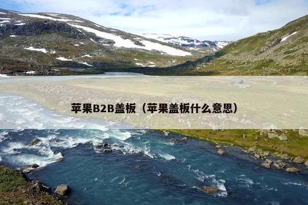 苹果B2B盖板（苹果盖板什么意思）