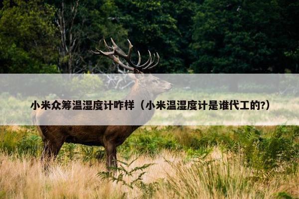 小米众筹温湿度计咋样（小米温湿度计是谁代工的?）