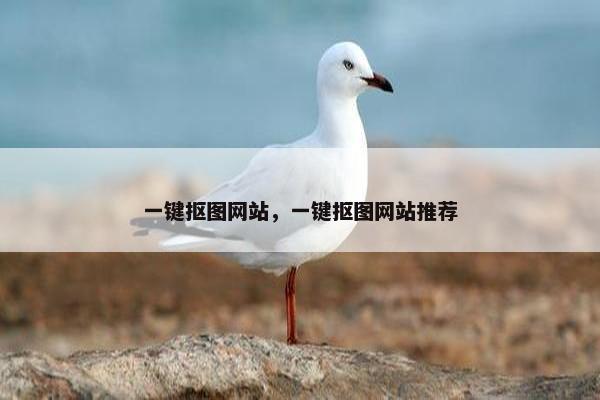 一键抠图网站，一键抠图网站推荐