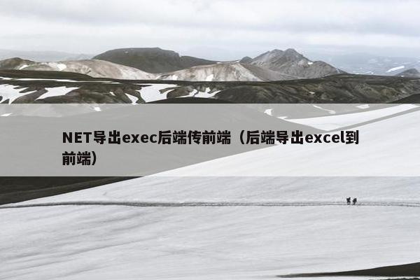 NET导出exec后端传前端（后端导出excel到前端）