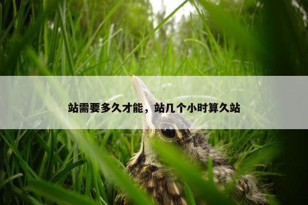 站需要多久才能，站几个小时算久站