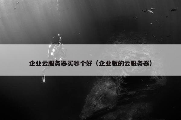 企业云服务器买哪个好（企业版的云服务器）