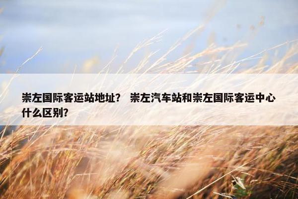 崇左国际客运站地址？ 崇左汽车站和崇左国际客运中心什么区别？