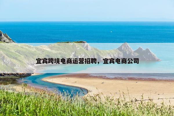 宜宾跨境电商运营招聘，宜宾电商公司