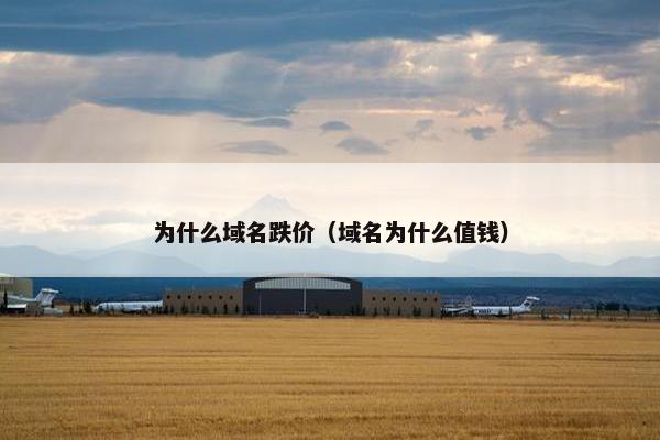 为什么域名跌价（域名为什么值钱）