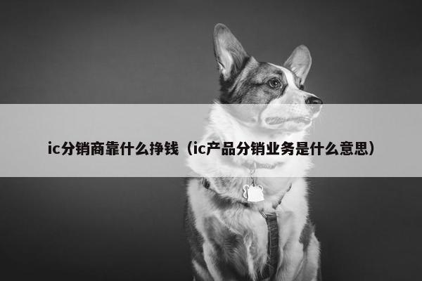 ic分销商靠什么挣钱（ic产品分销业务是什么意思）