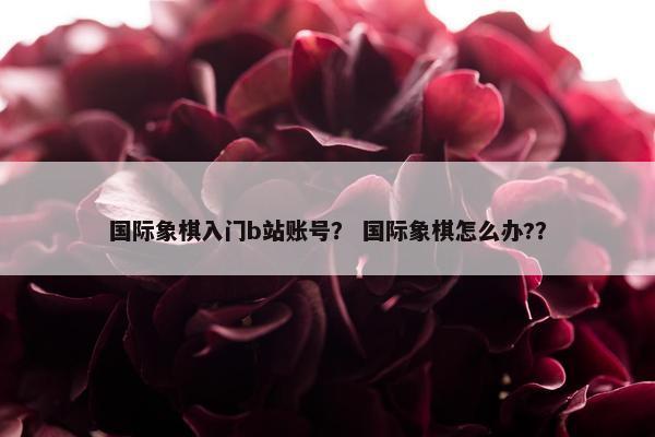 国际象棋入门b站账号？ 国际象棋怎么办?？